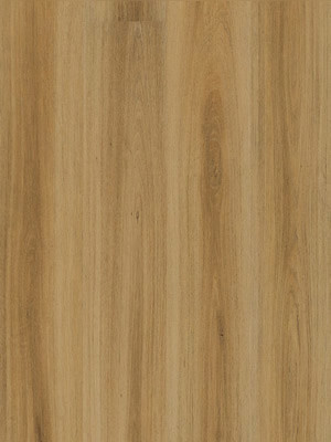 Moduleo Primero 30 Vinyl Designbelag Summer Oak Wood Planken Vinylboden wmp24235