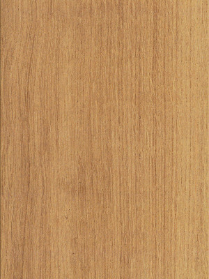 wD8F7002 Wicanders Wood Essence Kork Parkett Golden Prime Oak Wood Design-Korkboden