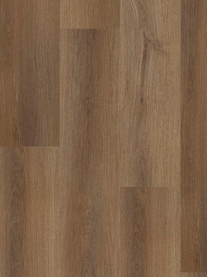 wA-79987 Adramaq Kollektion ONE Wood Planken zum Verkleben Eiche elegant braun